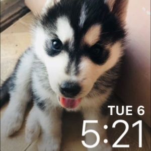 Meet your Posher, Tania